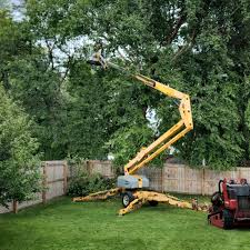 Best Commercial Tree Services  in Hammond, IN