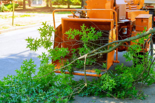 Best Lawn Irrigation Installation and Maintenance  in Hammond, IN