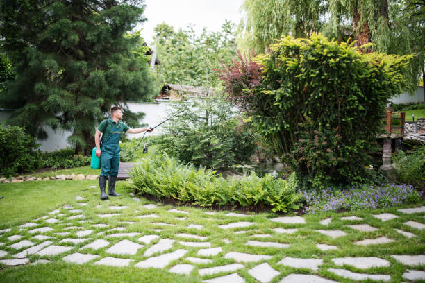Lawn Irrigation Installation and Maintenance in Hammond, IN